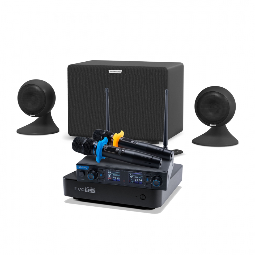 караоке-комплект EVOBOX + EvoSound Sphere 2.1 в Абакане