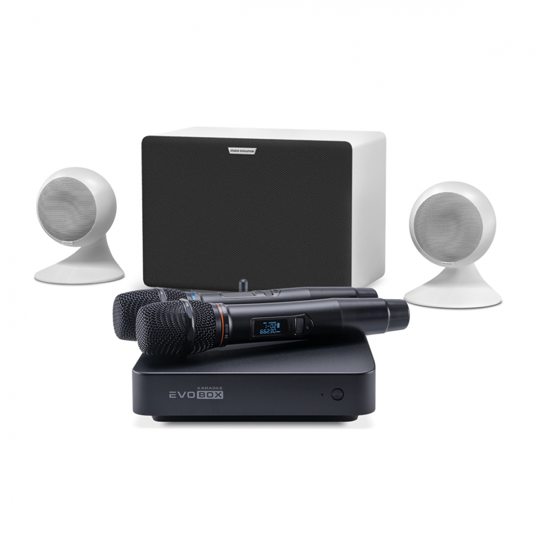 караоке-комплект EVOBOX Classic + EvoSound Sphere 2.1 в Абакане