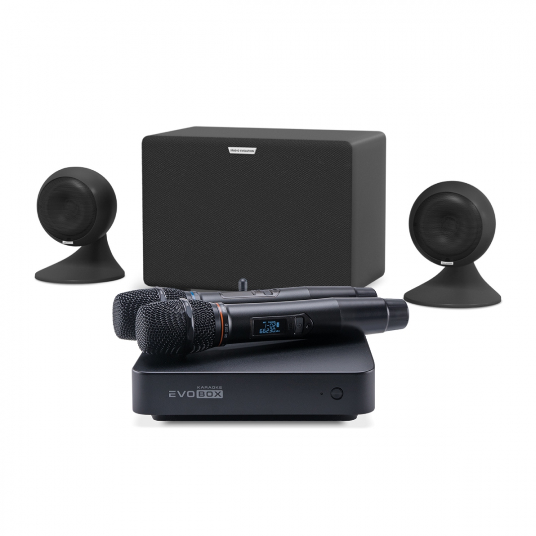 караоке-комплект EVOBOX Plus + EvoSound Sphere 2.1 в Абакане