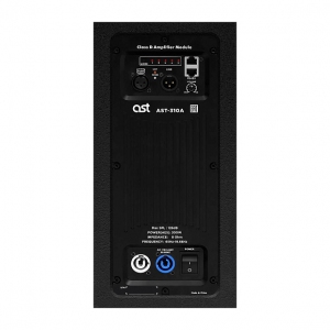 Активная акустическая система AST-310A в Абакане