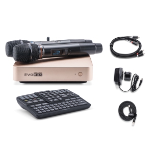 EVOBOX Classic караоке-система для дома в Абакане