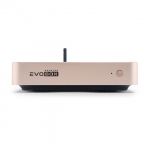 EVOBOX Plus караоке-система для дома в Абакане