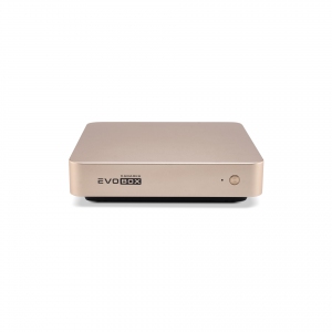 EVOBOX с микрофонами в Абакане